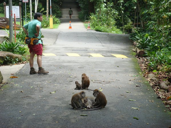 Singapore Nature