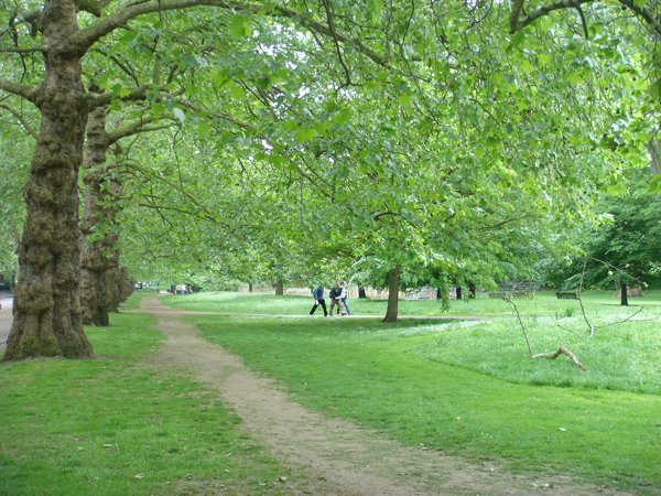 buckingham palace park